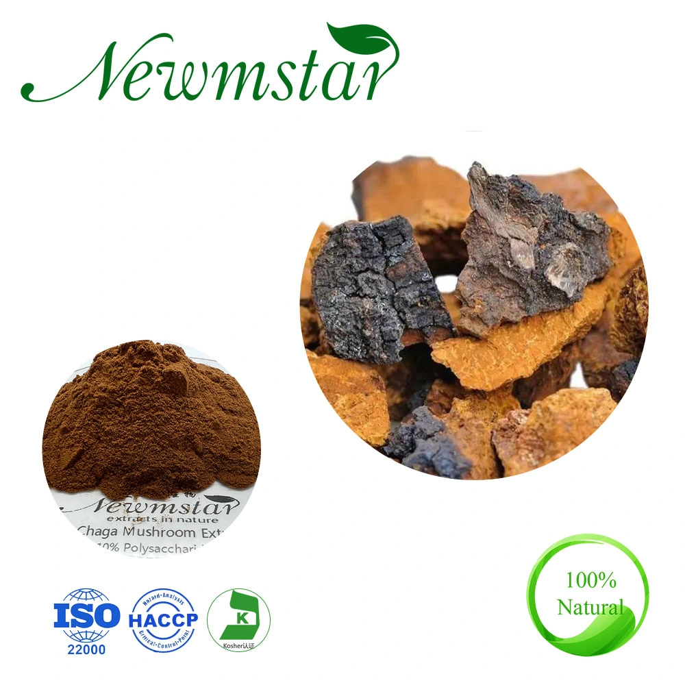 Dietary Supplement Siberian Chaga Extract Chaga Mushroom Extract Powder Chaga Extract