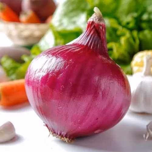 Кверцетин 95% натуральный растительный экстракт для уменьшения воспаления.